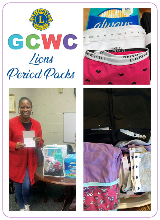 Guilford County Wide Cyber Lions Period Packs